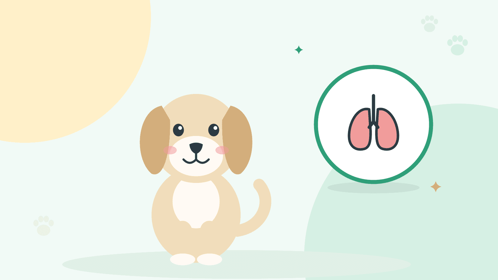 Krem rengi bir köpek oturuyor; yanında akciğer simgesi var
