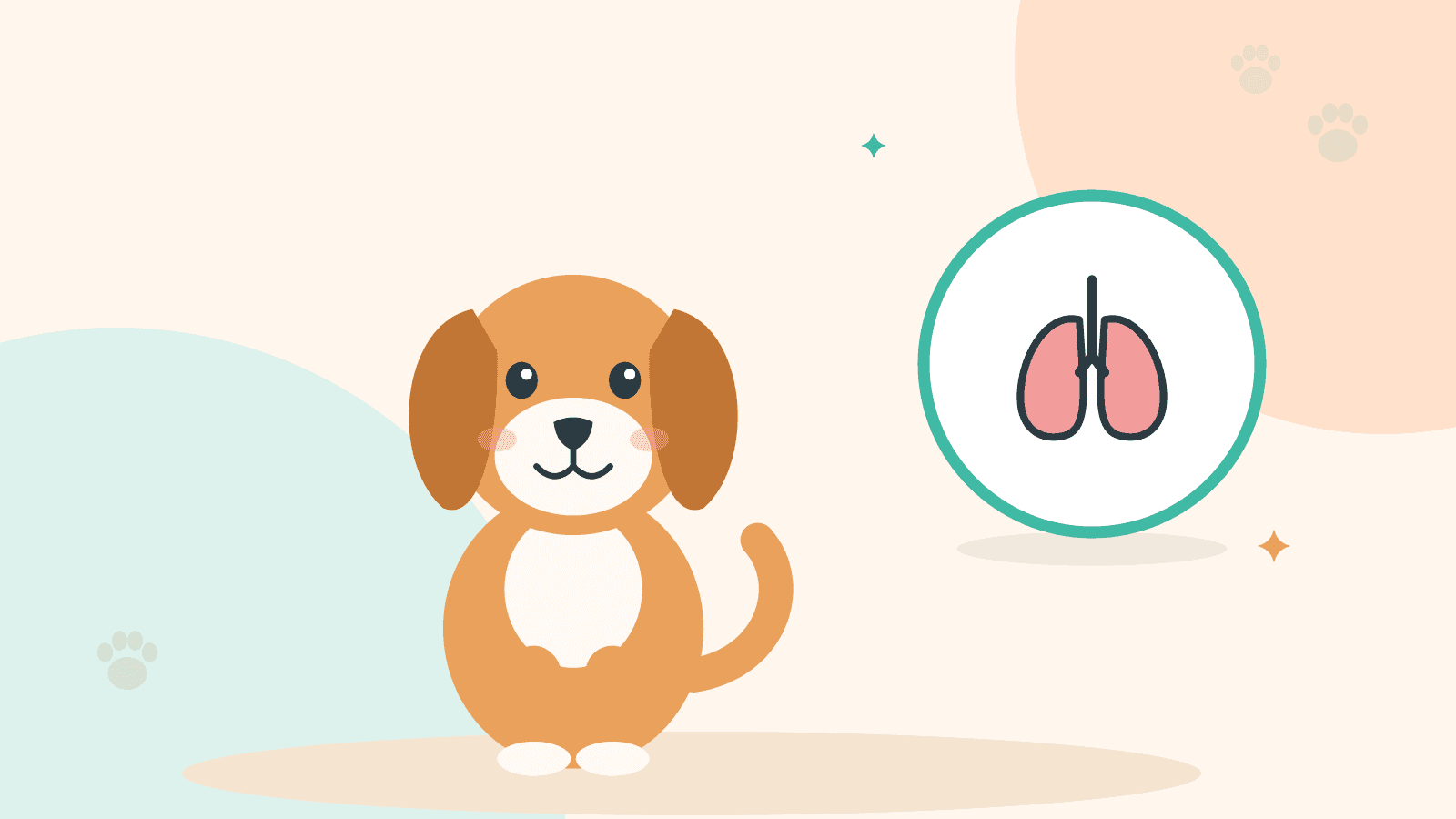 Turuncu bir köpek oturuyor; yanında akciğer simgesi var