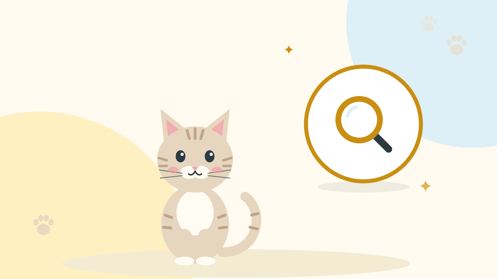 Krem rengi bir kedi oturuyor; yanında büyüteç simgesi var