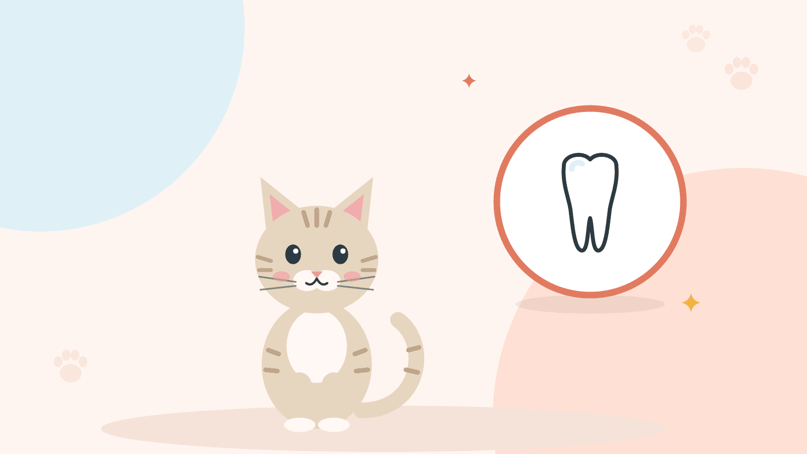 Krem rengi bir kedi oturuyor; yanında diş simgesi var